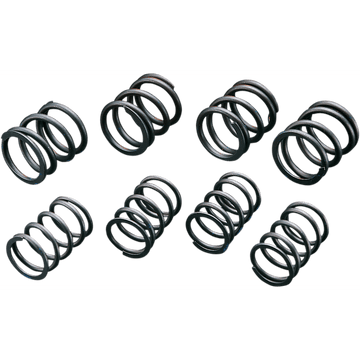 ANDREWS High-Lift Valve Springs