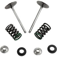 XCELDYNE Intake Valve Kit