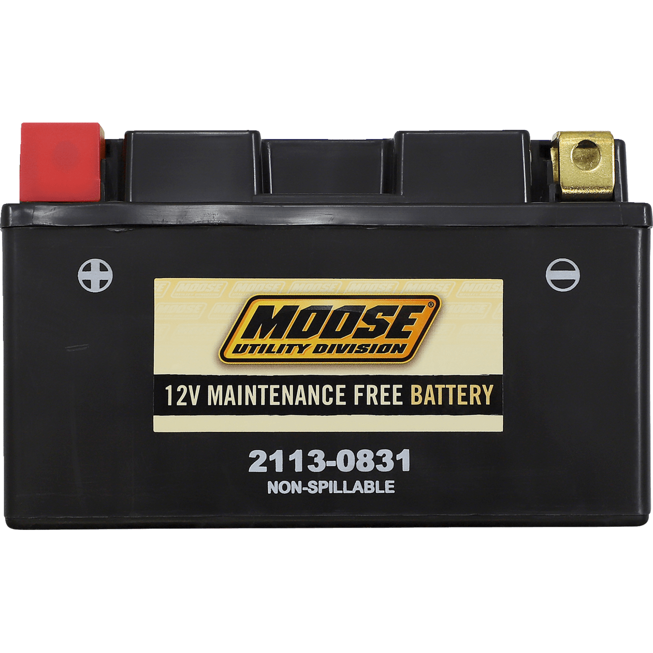 MOOSE UTILITY AGM Battery CTZ10S