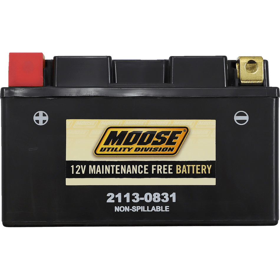 MOOSE UTILITY AGM Battery CTZ10S