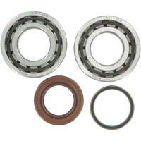 HOT RODS Crankshaft Bearings KTM K067