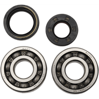 HOT RODS Crankshaft Bearings Yamaha