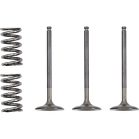 PROX Valve and Spring Kit Intake Gas Gas | Yamaha 28SIS24242