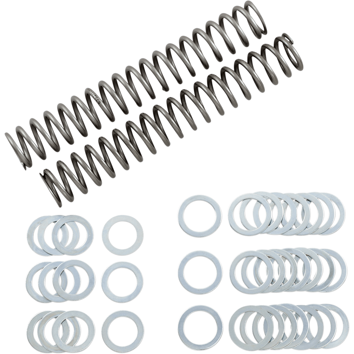 RACE TECH Fork Springs 1.10 kg/mm FRSP S3825110