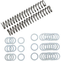 RACE TECH Fork Springs 1.10 kg/mm FRSP S3825110