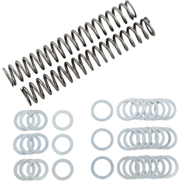 RACE TECH Fork Springs 1.10 kg/mm FRSP S3825110