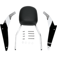 COBRA Sissy Bar Standard VLX600 025101