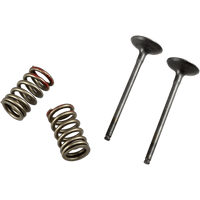 PROX Valve and Spring Kit Exhaust Kawasaki | Suzuki 28SES43351