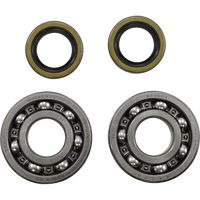 VINTCO Main Bearing and Seal Kit Kawasaki