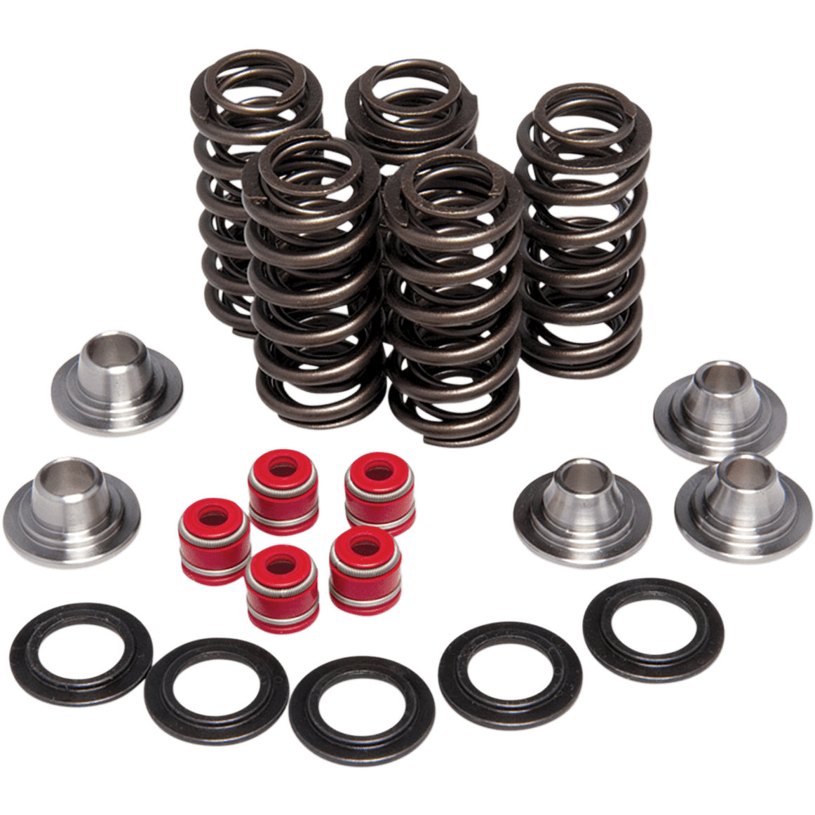 KIBBLEWHITE Valve Spring Kit 8080206