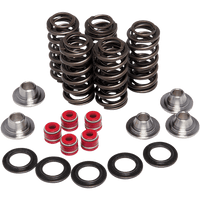 KIBBLEWHITE Valve Spring Kit 8080206