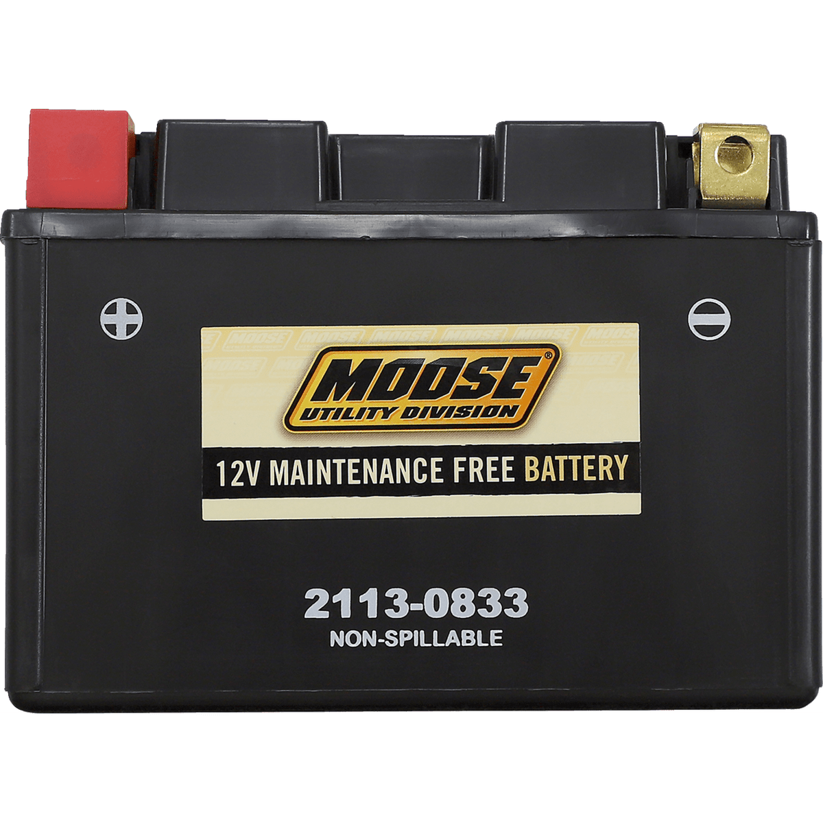 MOOSE UTILITY AGM Battery CTZ14S