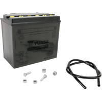 YUASA Battery YB16HL-A-CX YUAM2H16C