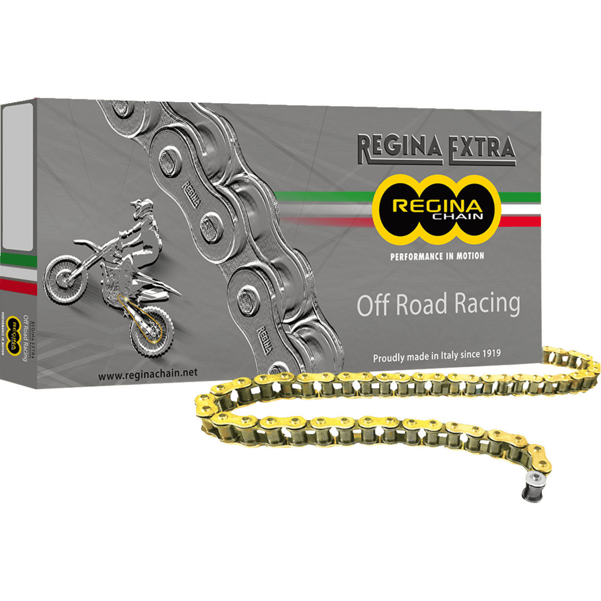 REGINA 520 GPXV Drive Chain 120 Links 135GPXV/001