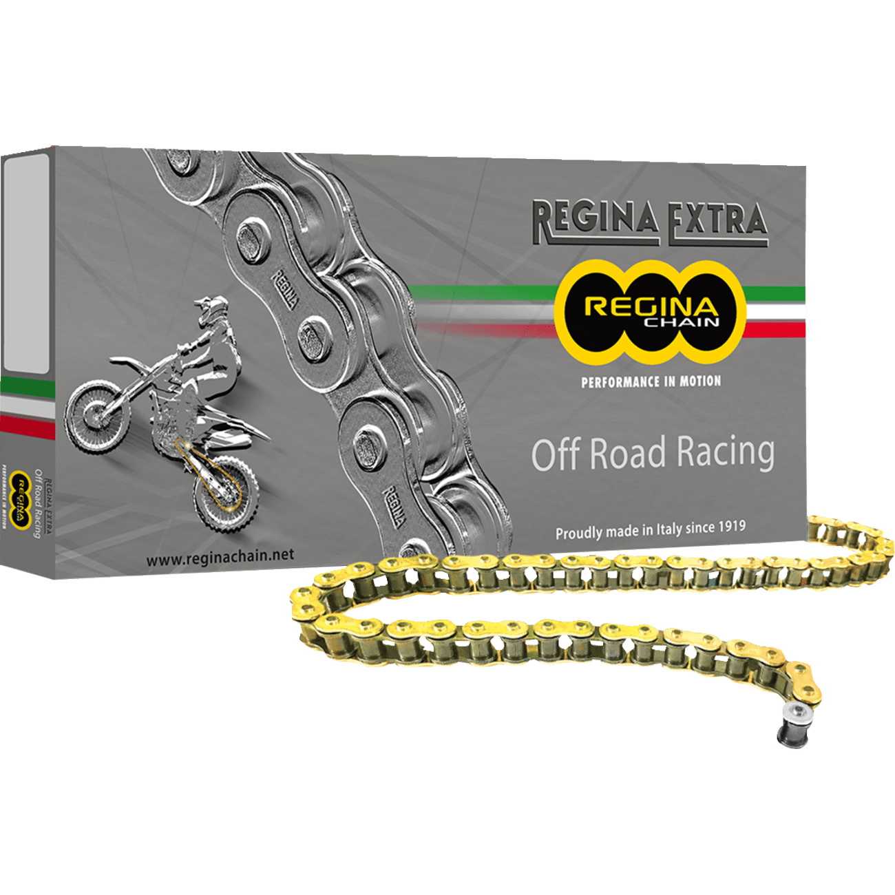 REGINA 520 GPXV Drive Chain 120 Links 135GPXV/001