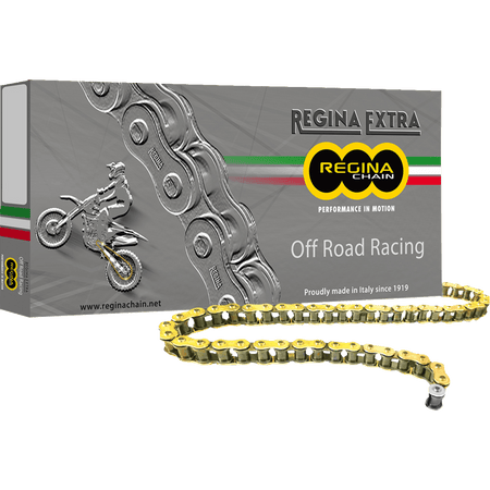 REGINA 520 GPXV Drive Chain 120 Links 135GPXV/001