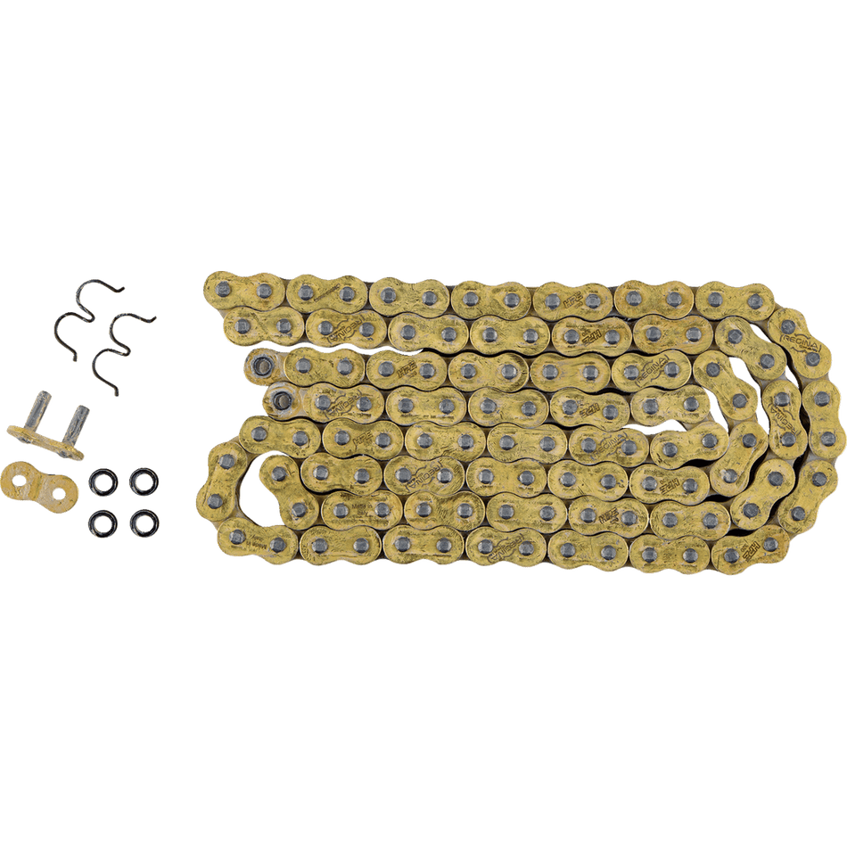 REGINA 520 HPE Drive Chain 106 Links 135HPE/1002