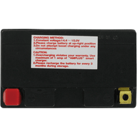 PARTS UNLIMITED AGM Battery YTZ14S