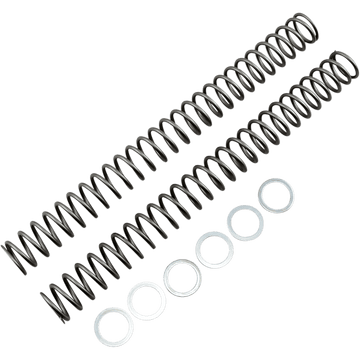 RACE TECH Fork Springs 0.42 kg/mm FRSP 444542