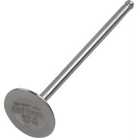 DEL WEST Outer Intake Valve DWYZ250F2IV02