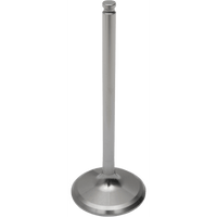 DEL WEST Intake Valve