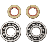 HOT RODS Crankshaft Bearings KTM