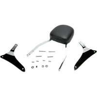 COBRA Sissy Bar Standard VN 1700 025465