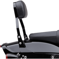 COBRA Backrest Kit 11" Black FXFBS 6022028B