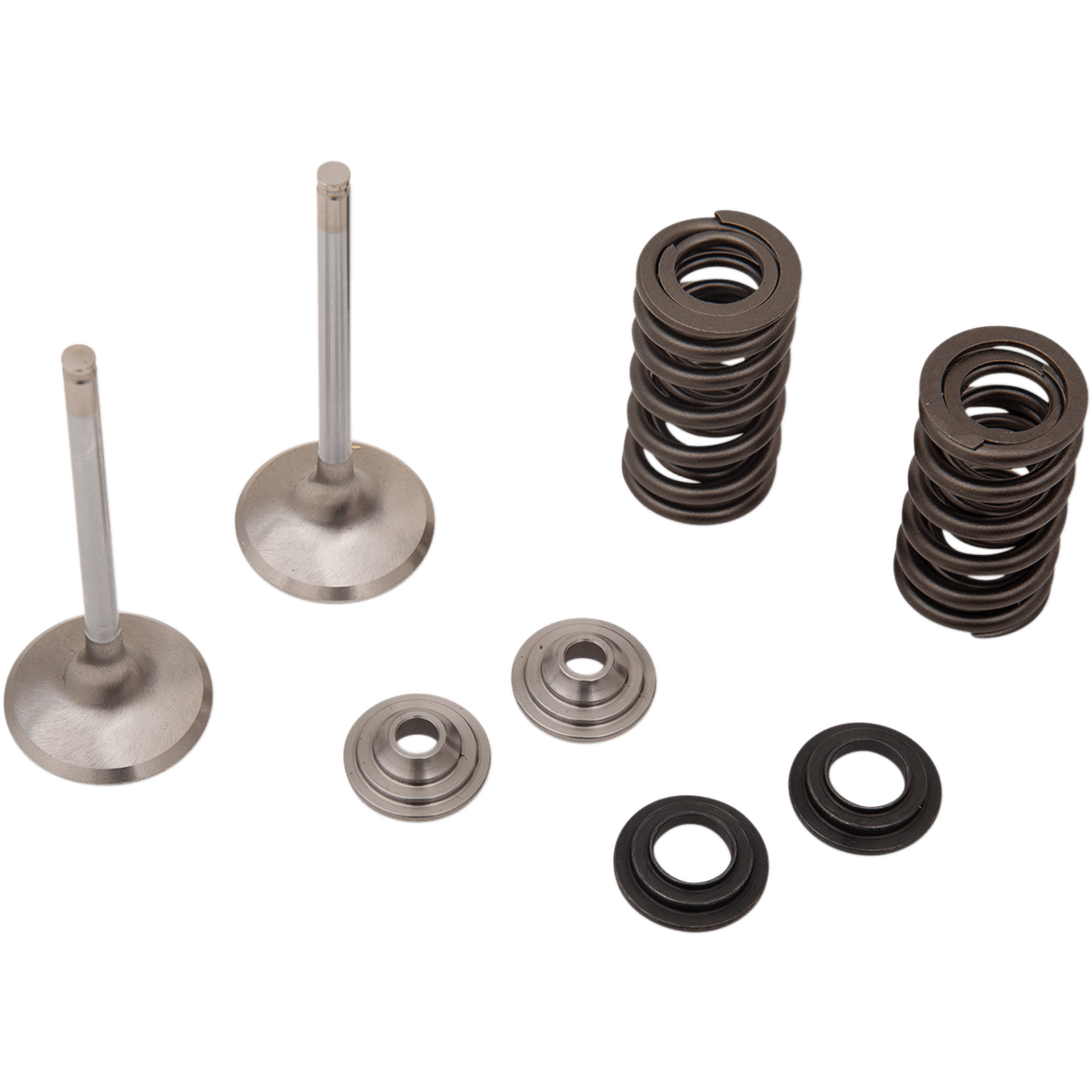 MOOSE RACING Valve and Spring Kit