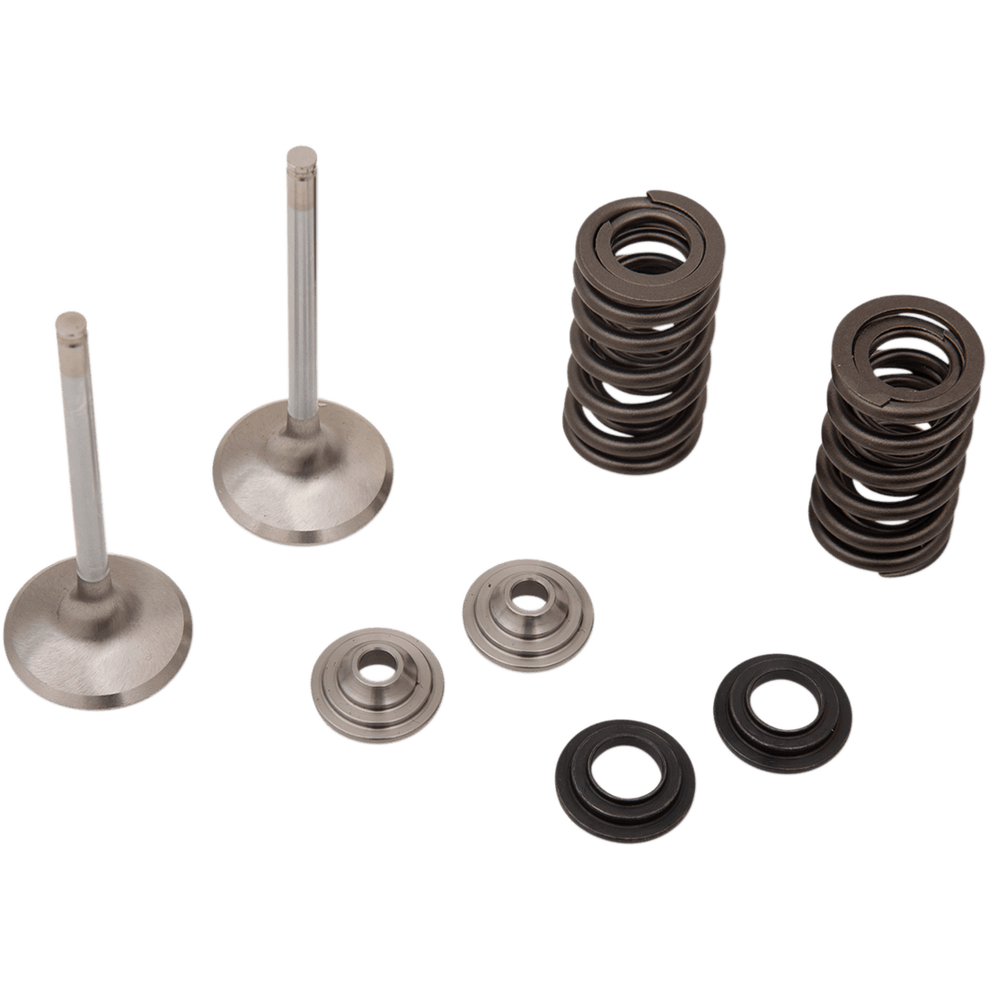 MOOSE RACING Valve and Spring Kit