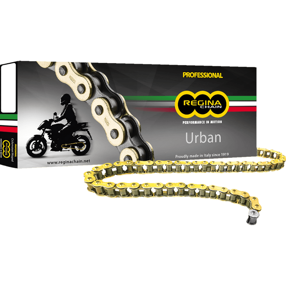 REGINA 420 OROY Drive Chain 100 Links