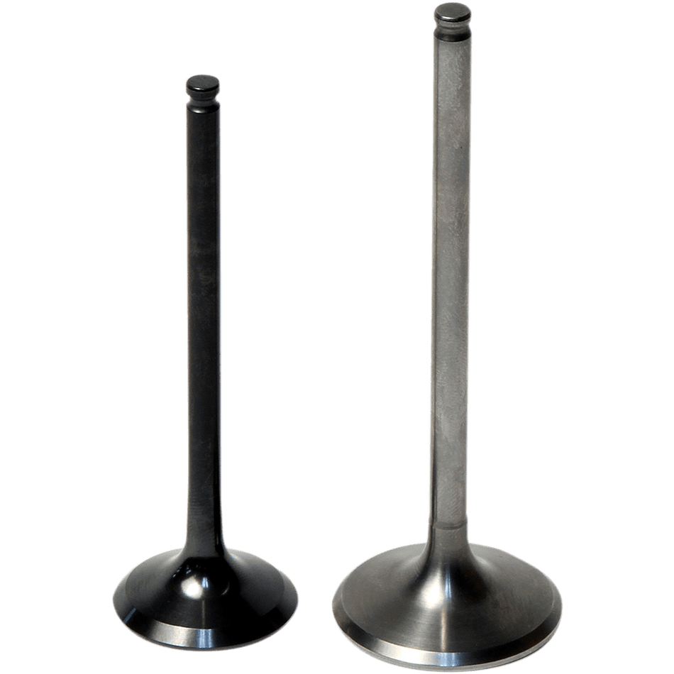 VERTEX Intake Valve 84000022