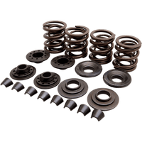 KIBBLEWHITE Valve Spring Kit XL