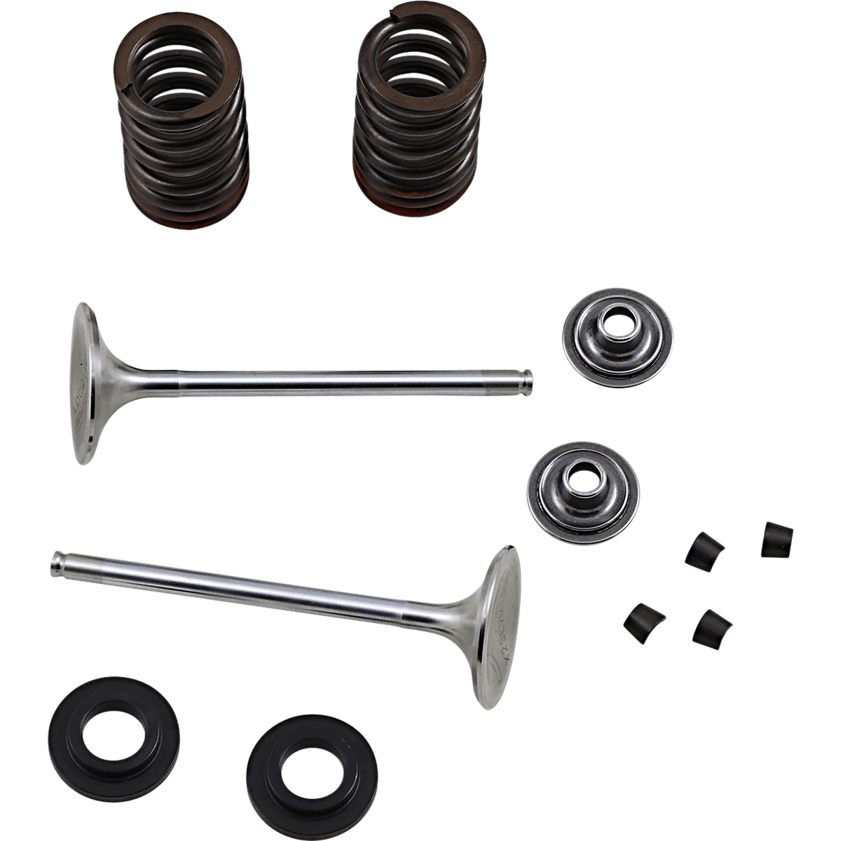 XCELDYNE Exhaust Valve Kit