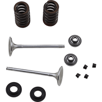 XCELDYNE Exhaust Valve Kit