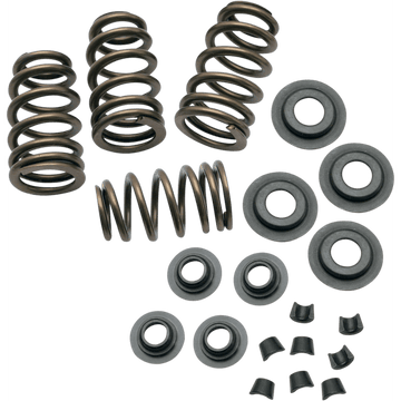 S&S CYCLE Spring Kit .650"