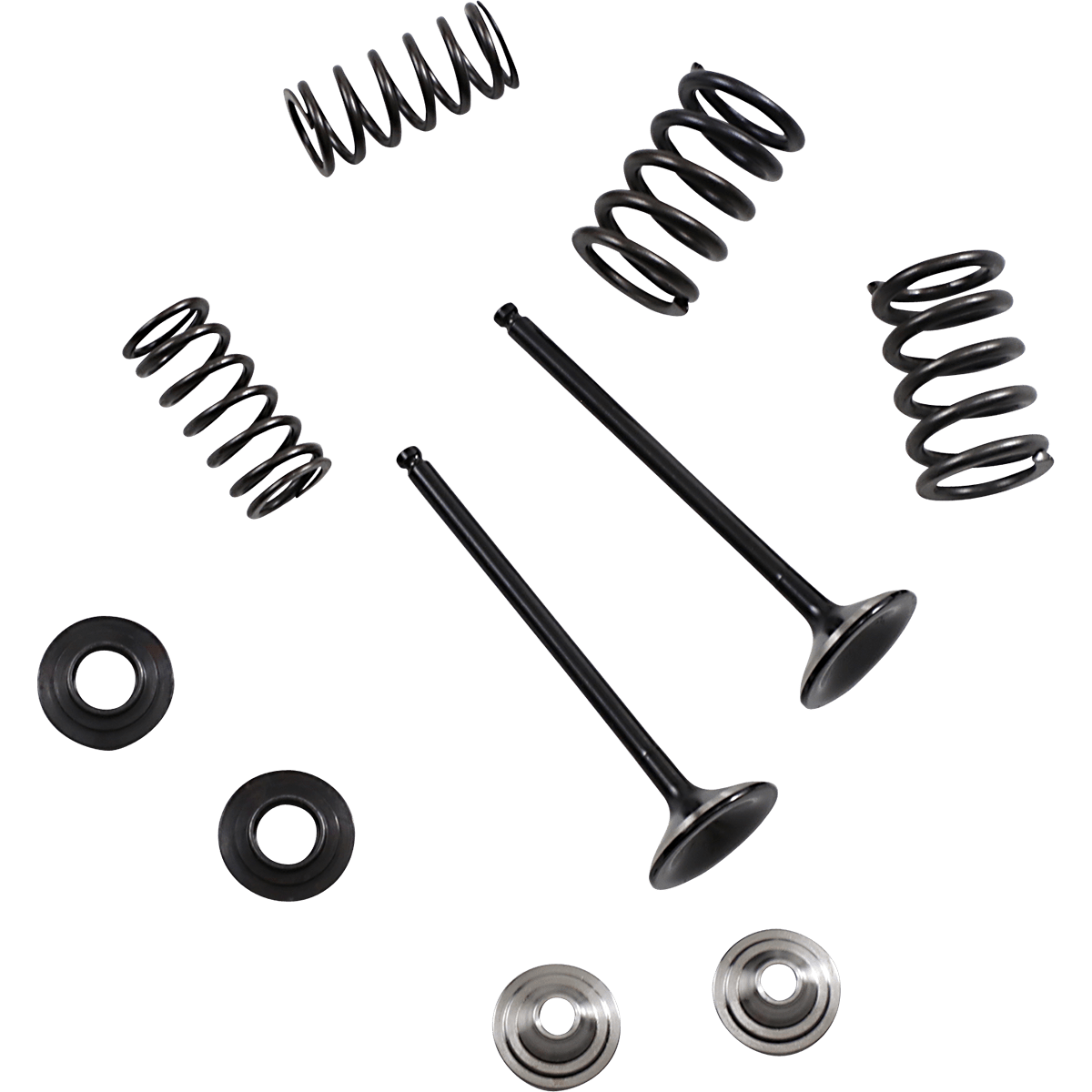 MOOSE RACING Valve and Spring Kit