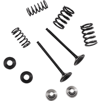 MOOSE RACING Valve and Spring Kit