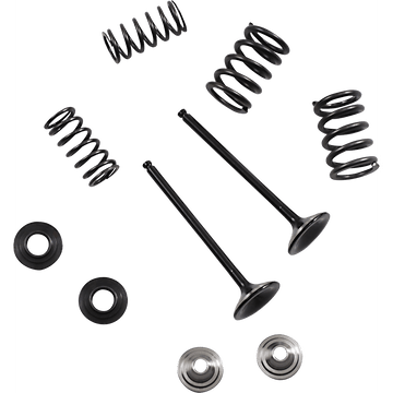 MOOSE RACING Valve and Spring Kit