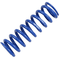 RACE TECH Fork Springs 0.54 kg/mm FRSP 444654