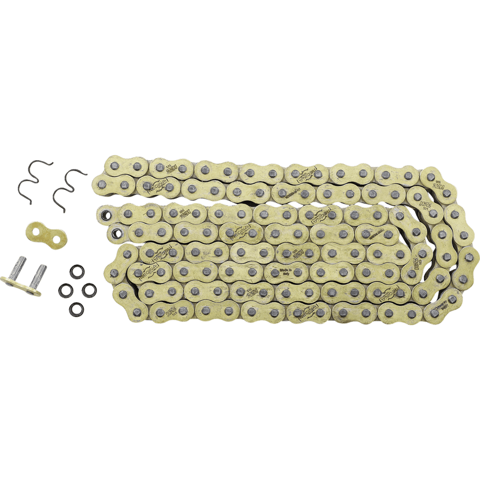 REGINA 525 HPE Drive Chain 124 Links 137HPE/1009