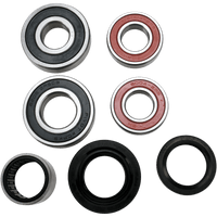 PIVOT WORKS Wheel Bearing Kit Rear PWRWSY12000