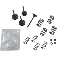 WISECO Valve Kit