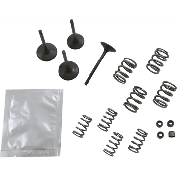 WISECO Valve Kit