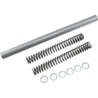 RACE TECH Fork Springs 1.10 kg/mm FRSP S3732110