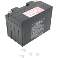 PARTS UNLIMITED AGM Battery YT12A-BS