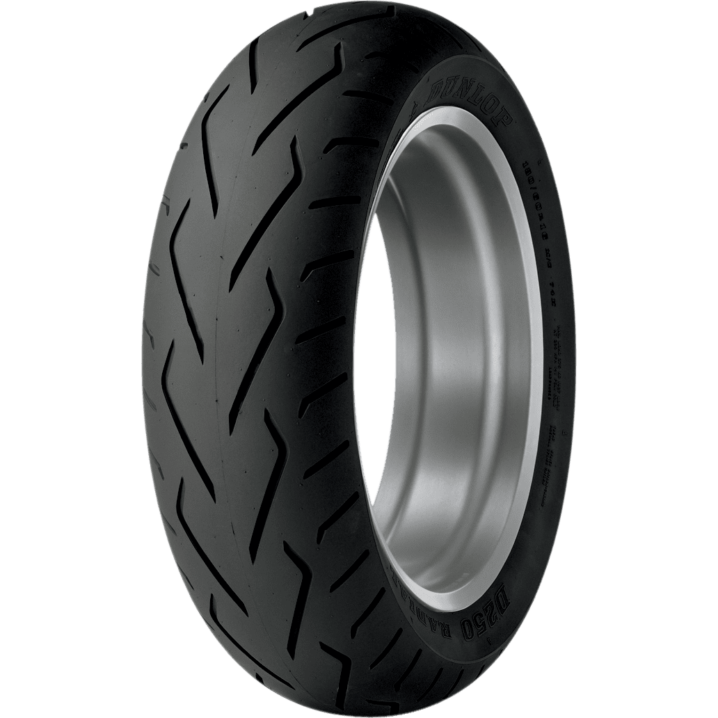 DUNLOP Tire D250 Rear 180/60R16 74H 45159165