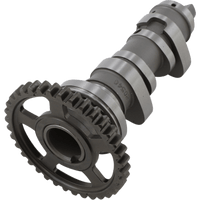 HOT CAMS Camshaft 11253