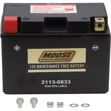 MOOSE UTILITY AGM Battery CTZ14S