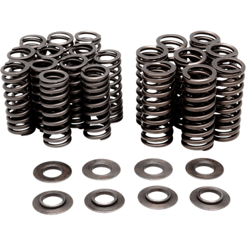 KIBBLEWHITE Valve Spring Kit